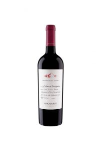 Rượu Vang Errazuriz Aconcagua Alto Cabernet Sauvignon